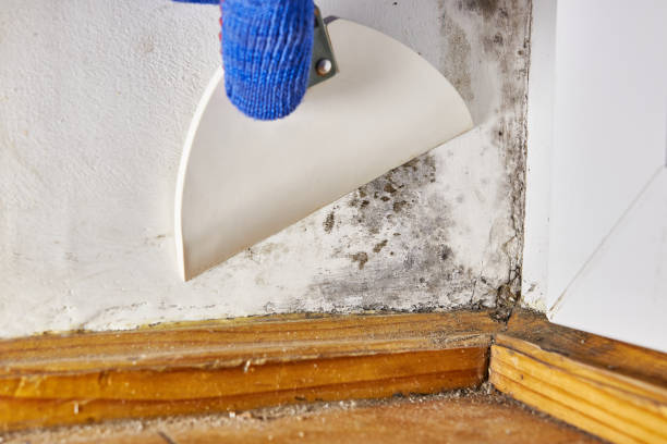 Best Post-Remediation Verification Testing  in Hopwood, PA